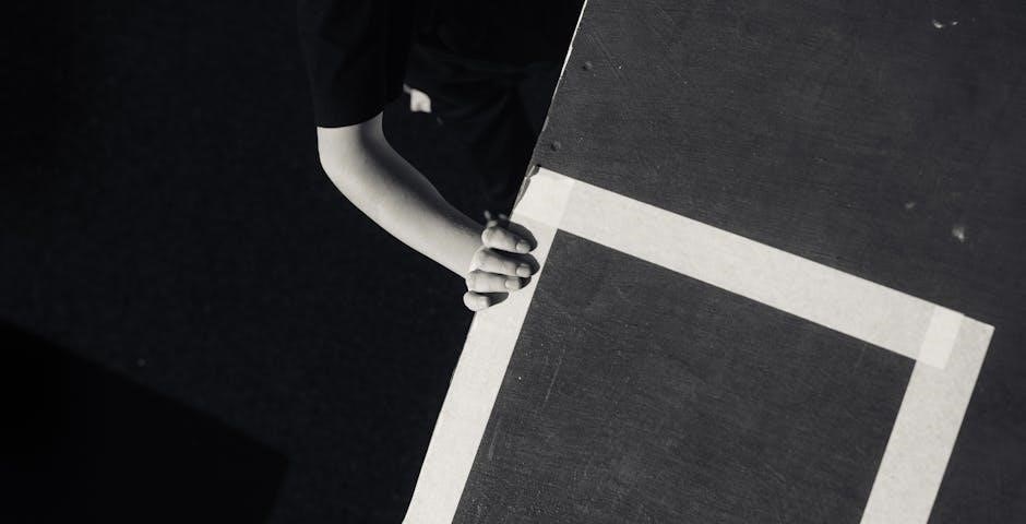 compare contrast graphic organizer pdf